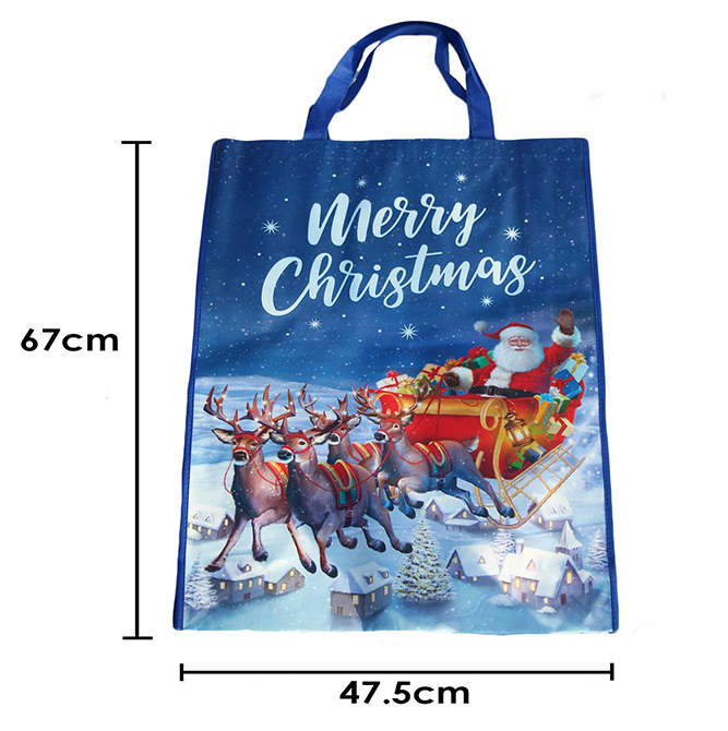 Names of Jesus  Large Christmas Gift Bag with Tissue Paper