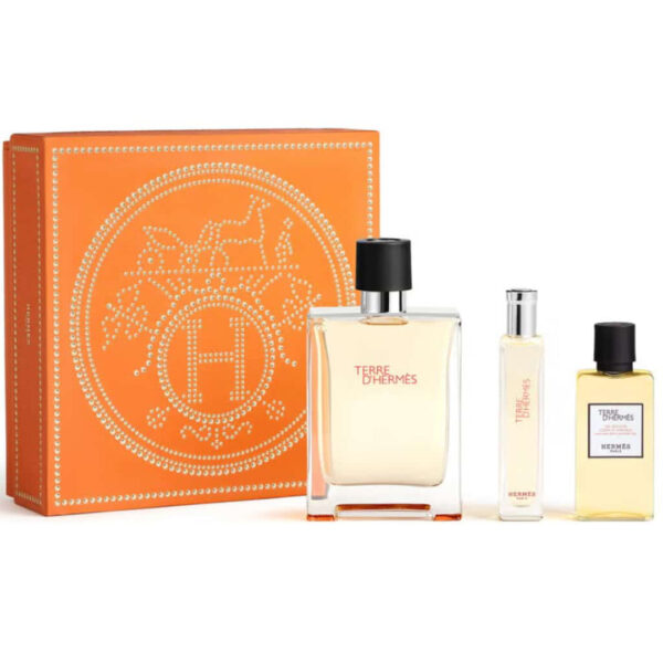 Hermes Terre D'Hermes Eau De Toilette Gift Set 100ml