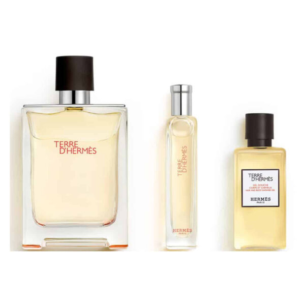 Hermes Terre D'Hermes Perfume 100ml Gift Set